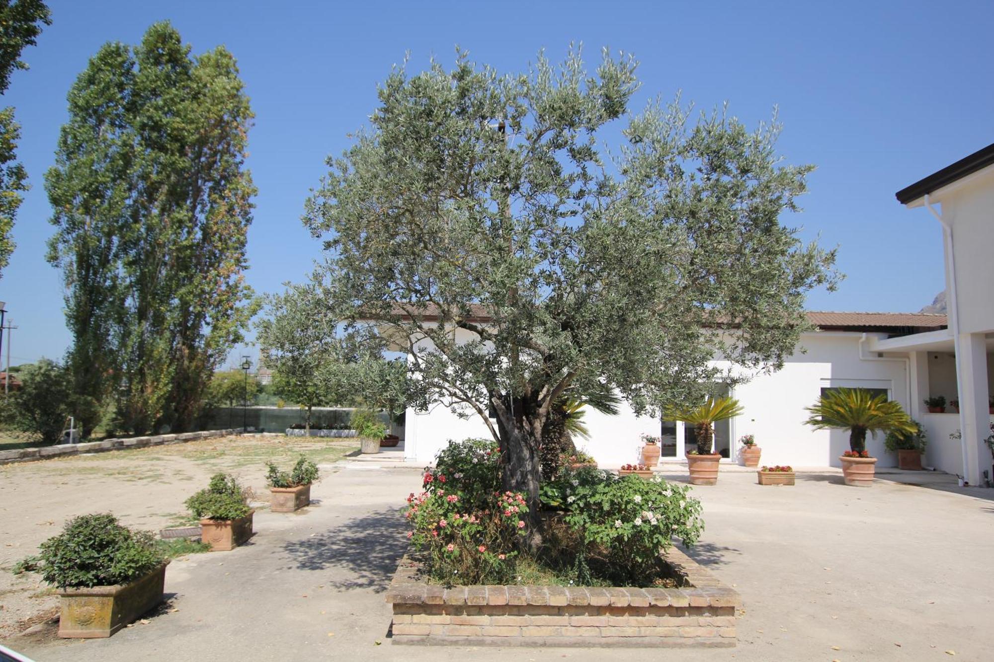 Castrocielo Villa Capodacqua מראה חיצוני תמונה
